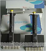 ������� ��ɫʮ������Һ��