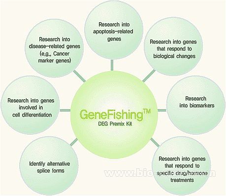 �������_(d��)�z�y(c��)ԇ����