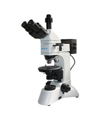 ͸����ƫ���@΢�R MP41