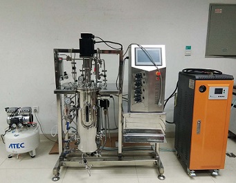 ���P䓰l(f��)�͹�