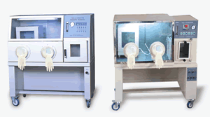 �������B(y��ng)��