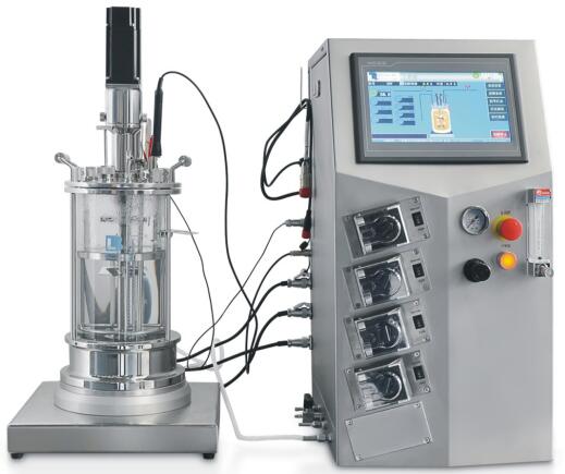 �����l(f��)�͹�