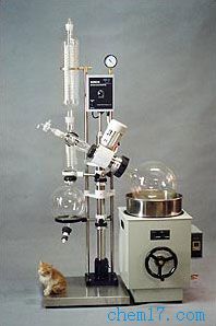 ���D���l(f��)��