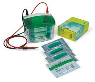 Mini-PROTEAN�A(y��)���zϵ�y(t��ng)