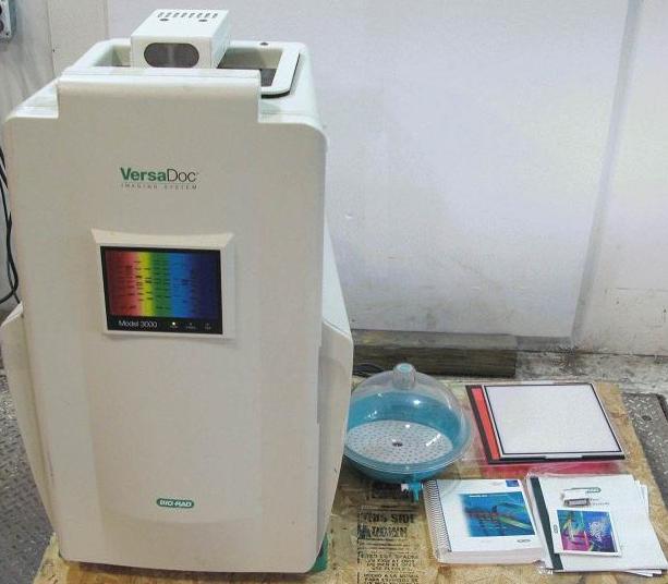�������z����xBio-Rad VersaDoc 3000