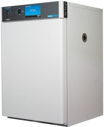 ������B(y��ng)��