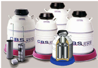 ����(gu��)CBSҺ����