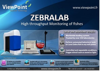 �Ԅ�(d��ng)���~�ͨ���О����ϵ�y(t��ng)