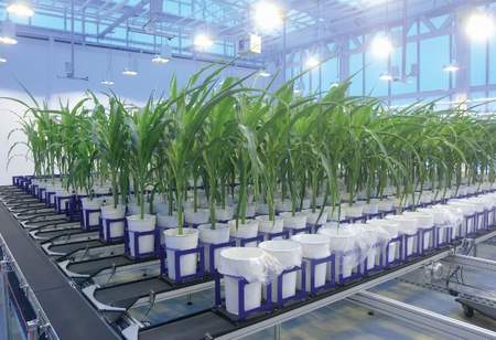 WIWAMֲ����ͳ������ƽ�_(t��i)