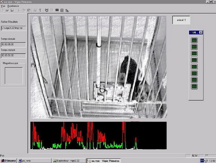 �`�L(zh��ng)�(d��ng)���О����ϵ�y(t��ng) - VigiePrimates