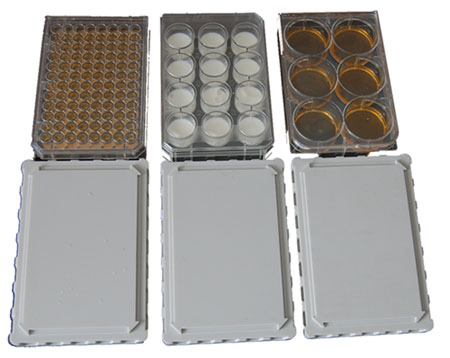 96��ø��(bi��o)������