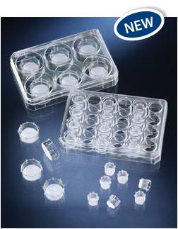 Nunc����ʽ��(x��)�����B(y��ng)��