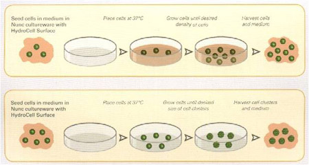 Nunc HydroCell����a(ch��n)Ʒ