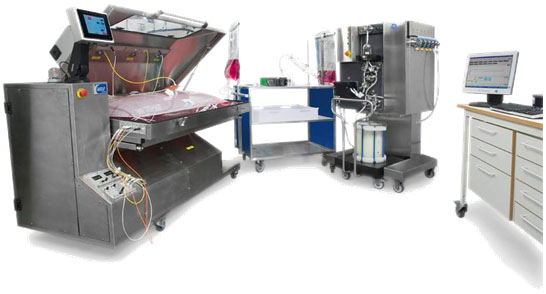 ReadyToProcess����ƽ�_