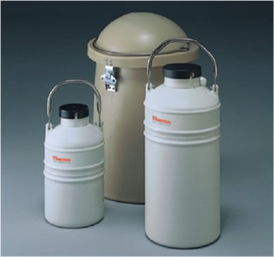 Arctic Express �ؘ͜�Ʒ�����\(y��n)ݔ����