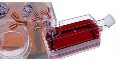 һ�������ﷴ��(y��ng)��:��(x��)�����B(y��ng)�͵��ױ��_(d��)