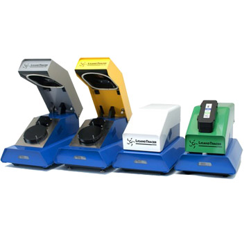 �����|(zh��)-��(x��)����(sh��)�r(sh��)�໥���÷���ϵ�y(t��ng)