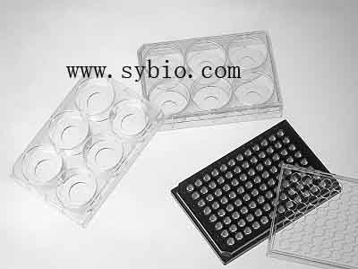 ���װ����������B(y��ng)�������⹲�۽����B(y��ng)��