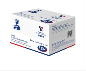 EB病毒核酸檢測試劑盒（熒光PCR法）