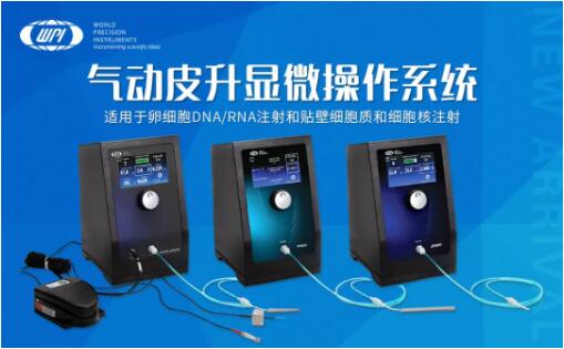 ���Ƥ���@΢����ϵ�y(t��ng)