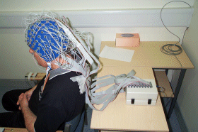 Biosemi 64-256���X늈D�x��EEG/ERP��