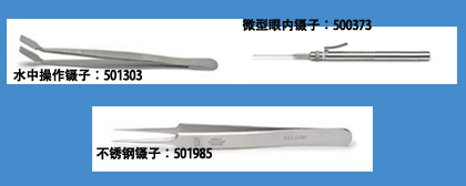 �������g(sh��)���