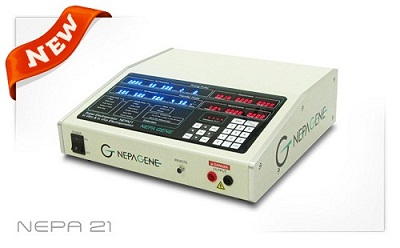 NEPA21 ��Ч������D(zhu��n)Ⱦ�x������D(zhu��n)Ⱦ