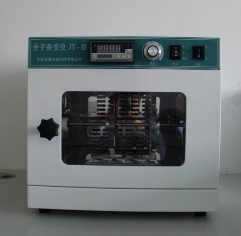 �����s���t