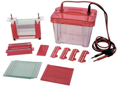 LF-Mini2�� С�ʹ�ֱ�Ӿ��