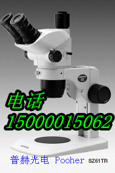 �W�ְ�˹�@΢�RSZ61�����w��