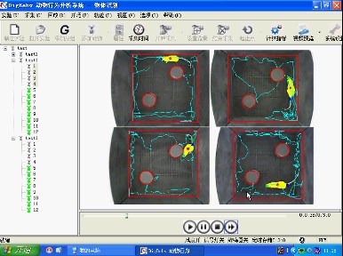 ��С��ͨ�������w�R(sh��)�eҕ�l����ϵ�y(t��ng)