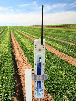 SapIP�W(w��ng)��W(w��ng)�j(lu��)��(sh��)��(j��)�ɼ�ϵ�y(t��ng)