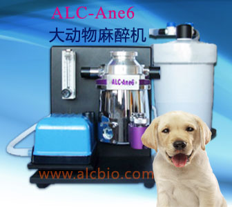 ���(d��ng)������C(j��)