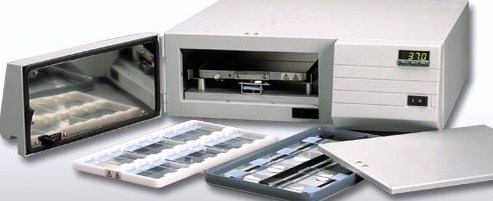 Boekel�M(j��n)��ԭλ�s���x