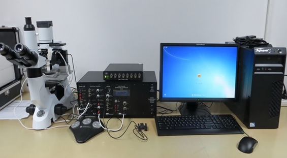 �μ��������y���x