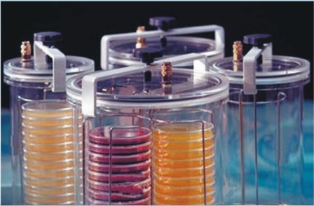 ������(x��)�����B(y��ng)�ޣ��\�����N���N�����a(ch��n)��