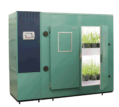 ֲ�����L(zh��ng)��