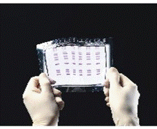 LONZA��˾��Ĥ�a(ch��n)Ʒ