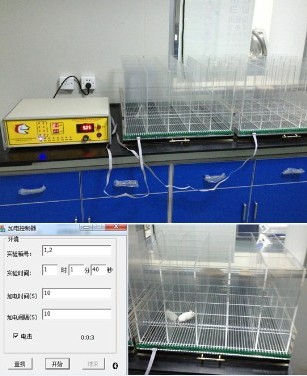 ��С��ͨ�����^늓���(���푪(y��ng)����(sh��)�(y��n))ϵ�y(t��ng)