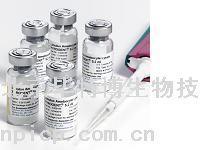 ��(n��i)���ؙz�y