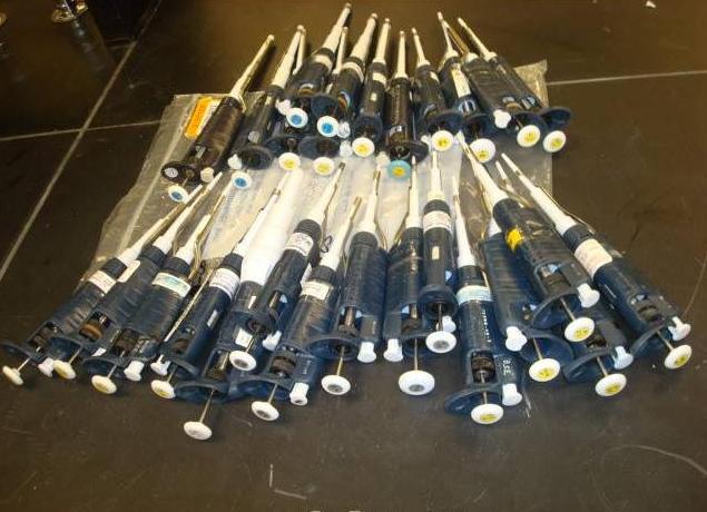 ������Һ��,Eppendorf,Thermo,Gilson