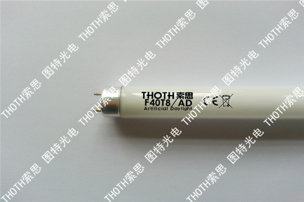 ֲ�����L(zh��ng)��