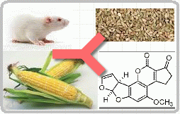 С���S��ù����B1