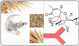 С�󿹇I�¶���