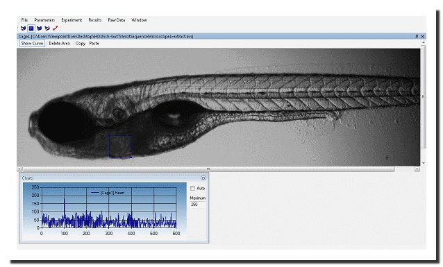���R�~����Ѫ���^�y(c��)ܛ�� - MicroZebraLab
