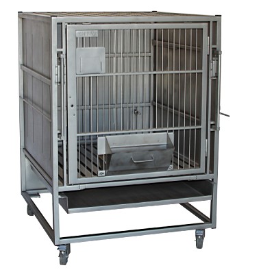 ���P��i�\