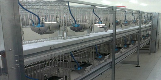 ȫ�ԄӼ���ʽ�û\������ͣ�