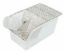 ��ͨС��\��