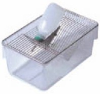 ���S����\��