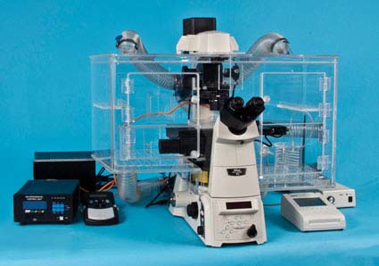 �@΢�R�����